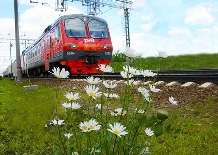 Электричка курск солнцево на завтра