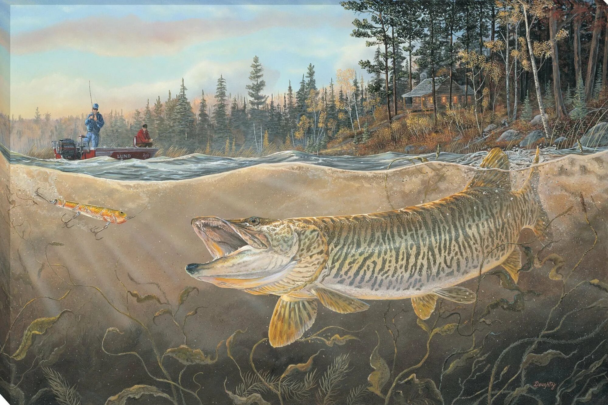 Образ щуки. Картина щука Пайк. Терри Даути картины рыба. Гигантская щука маскинонг вышивка. Рыба щука.