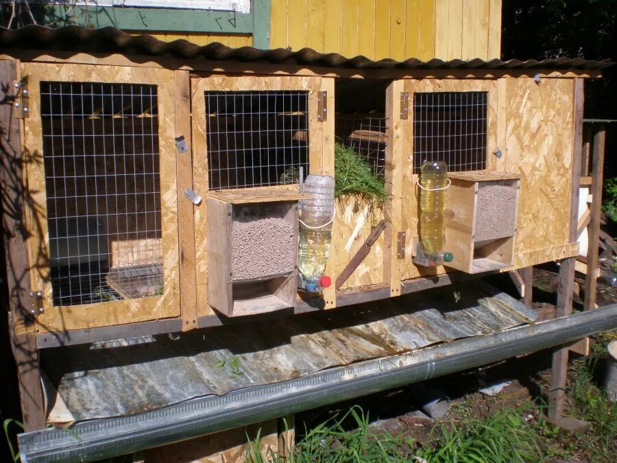 Зимний вольер для кроликов. Домики для разведения кроликов. Клетки для кроликов шеды. Вольер для кроликов зимой. Крольчатник (ферма).