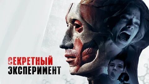 Секретный эксперимент