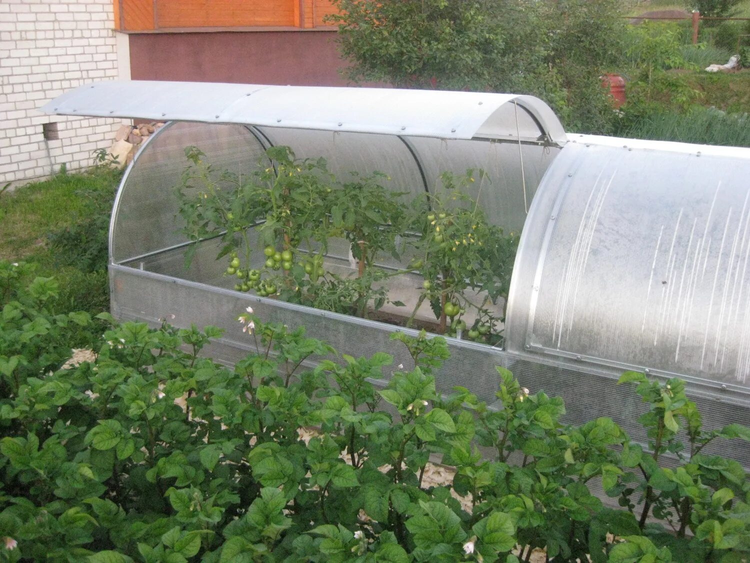 парник дельта парк. 7х1. невысокие теплицы. парник односкатный delta-park. парник лотос воля.