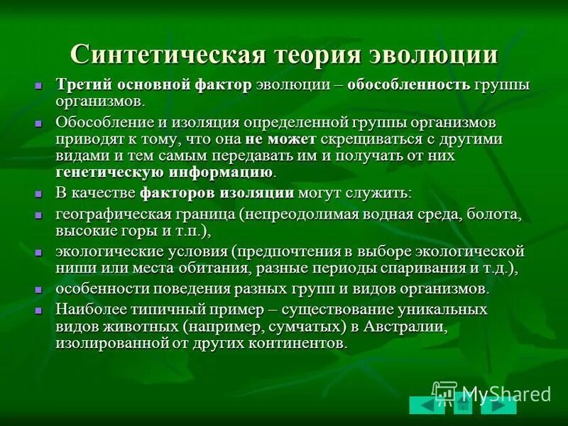 синтетическая теория эволюции. факторы синтетической теории эволюции. синтетическая теория эволюции. факторы эволюции стэ. факторы эволюции согласно синтетической теории эволюции.