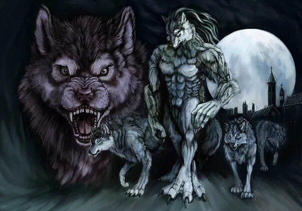 Как выглядит человек волк Lycanthrope by liminalbean Human to animal transformation art, Lycanthrope, Fema