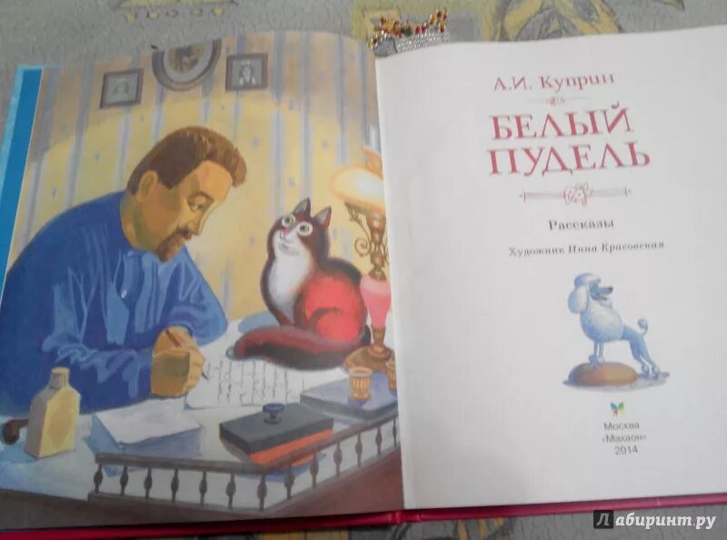 Кличка пуделя у куприна. А. И. Куприн "белый пудель". Белый пудель книга. Белый пудель Куприн иллюстрации. Куприн белый пудель план.