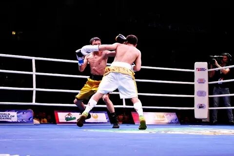 Uzbek tigers