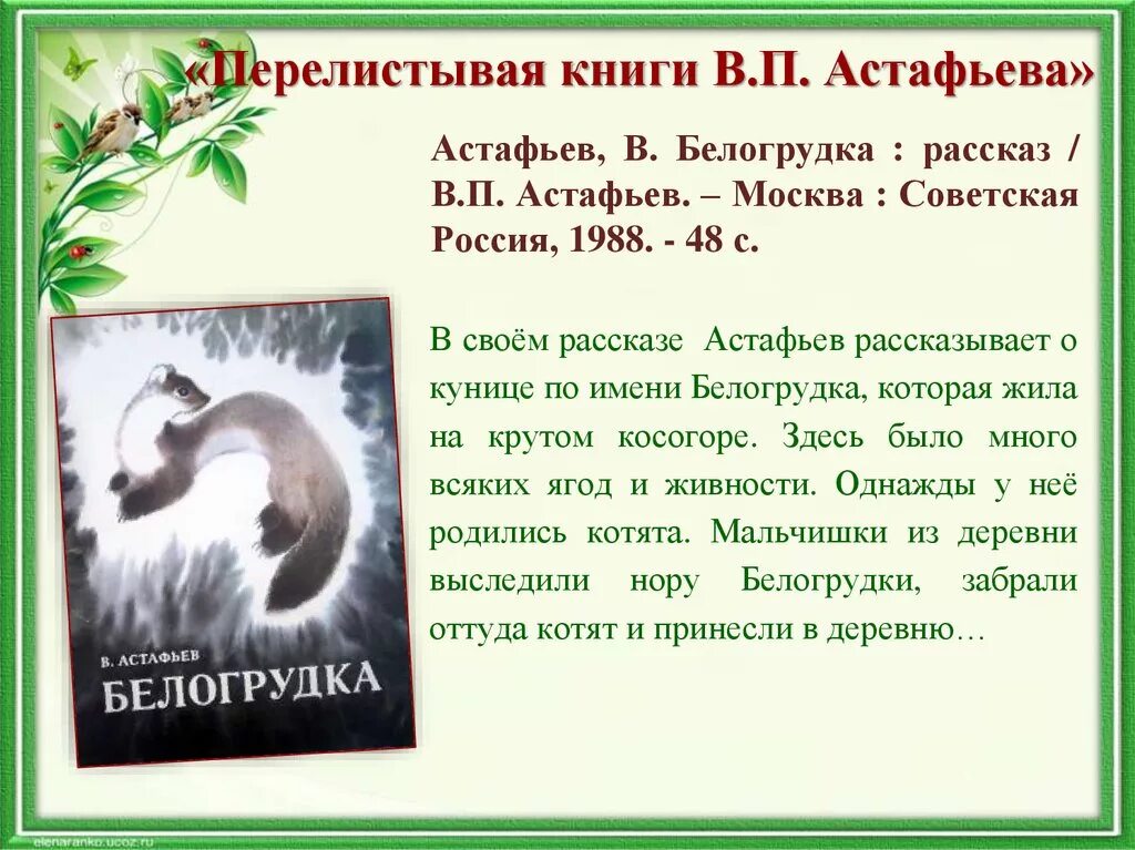 Белогрудка читательский дневник. Рассказ Астафьева Белогрудка.