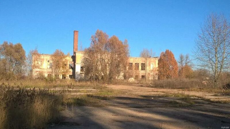 Погода в ветрино. Ветрино витебская область фотографии. Гуз новости. Погода в ветрино. Погода в ветрино.