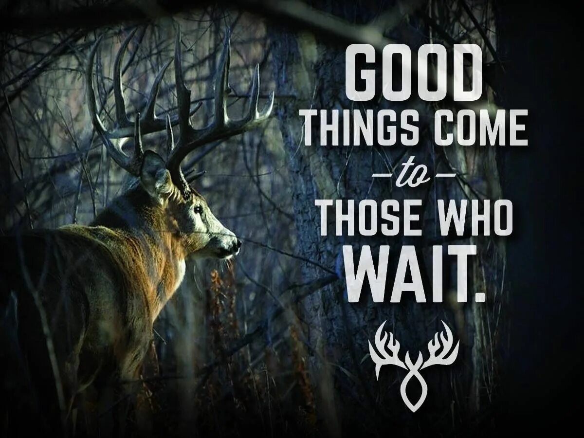 Hunt is coming. Good things come to those who wait. good things are coming обои. good things are coming. picture frame deer hunting.