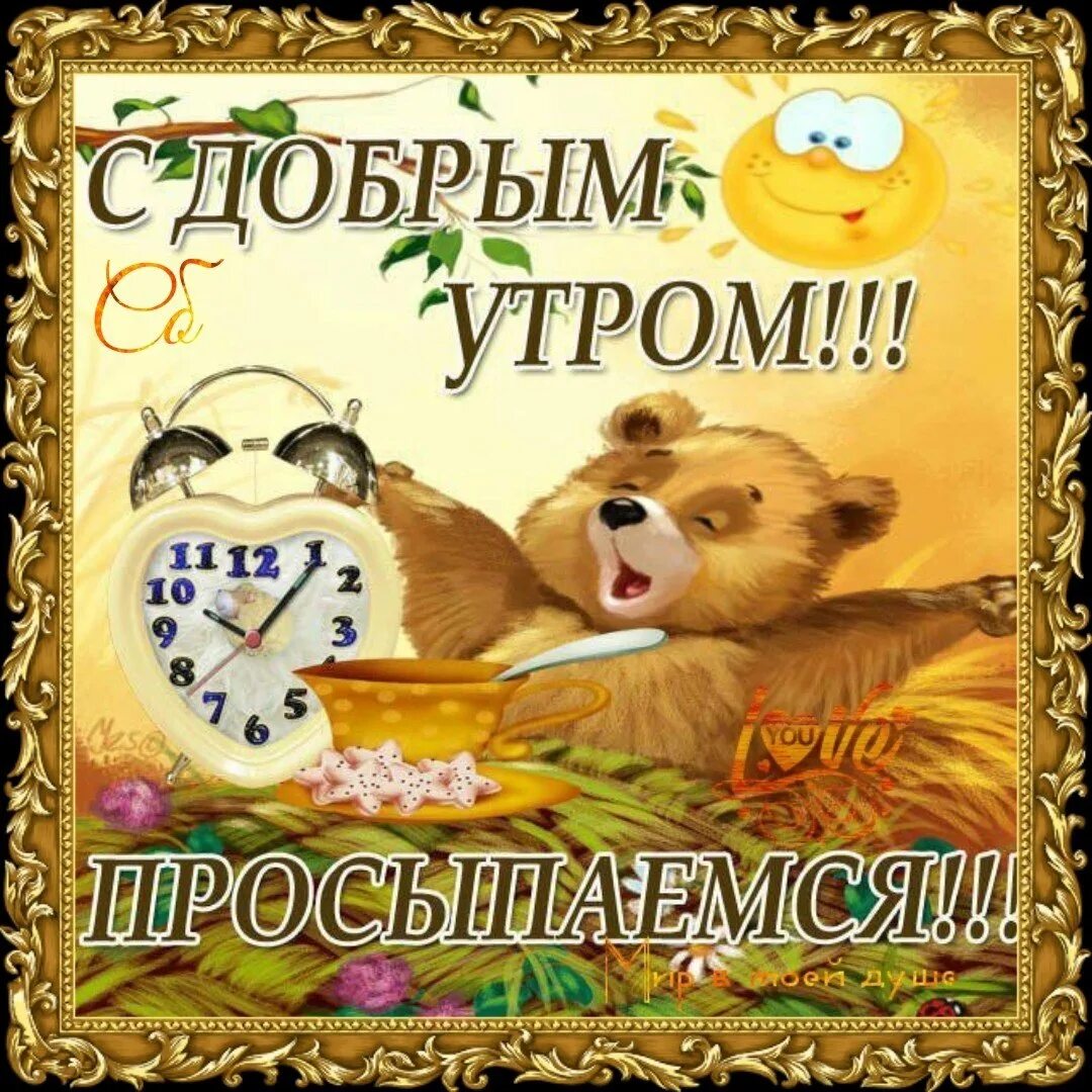 Доброе утро с днем сыновей открытки. Открытки с добрым утром прикольные. пожелания доброго утра прикольные. открытка с добрым утром. просыпайся. проснулись с добрым утром.