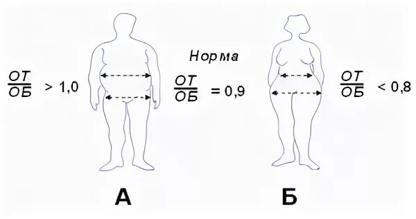 Бедра у мужчин норма