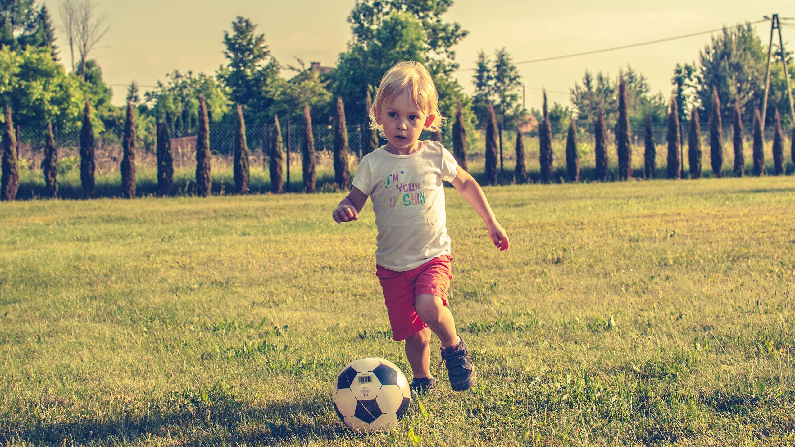 Игра мяч на траве. Мальчик с мячиком. Мяч для детей. Ребенок с футбольным мячом. Мячики для детей.