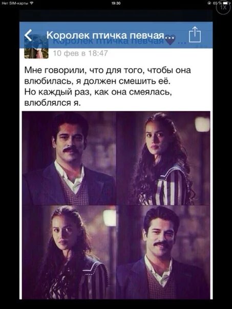 Цитаты королек птичка. Высказывания из сериала королек птичка певчая. Цитаты фериде королек птичка певчая. Королёк птичка певчая цитаты. Фразы из королек птичка певчая.