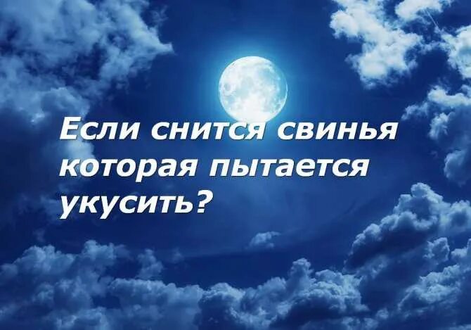 Свинья во сне к чему снится. Свинья во сне к чему снится женщине. К чему снится свинья Живая. Свинья сонник толкование снов