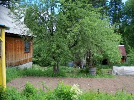 Дача усть каменогорск