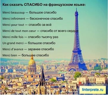 Отвечать на французском