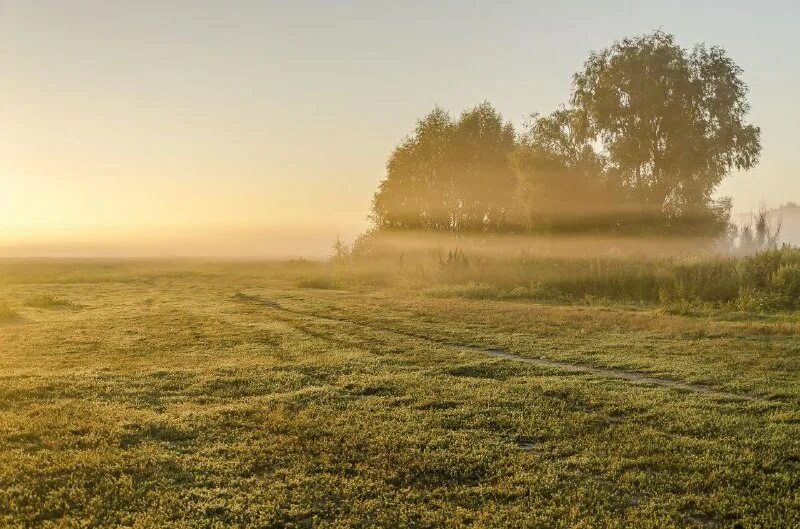 Утро природа. Рассвет летом. Солнце ходит по лугам. Ирина токмакова стихи. Солнце ходит по лугам.