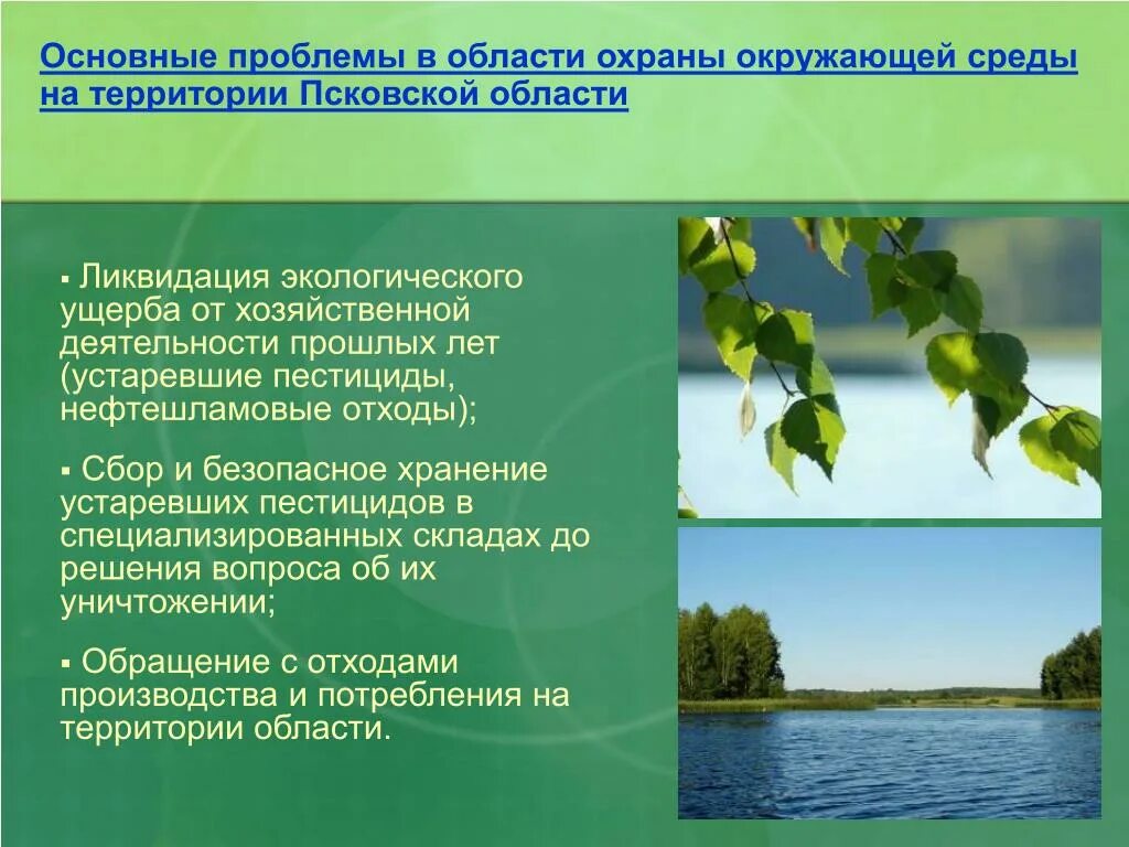 Роль охраны окружающей среды. Экологические проблемы Псковской области. Охрана окружающей среды Псковской области. Охрана окружающей среды. Проблемы охраны окружающей среды.