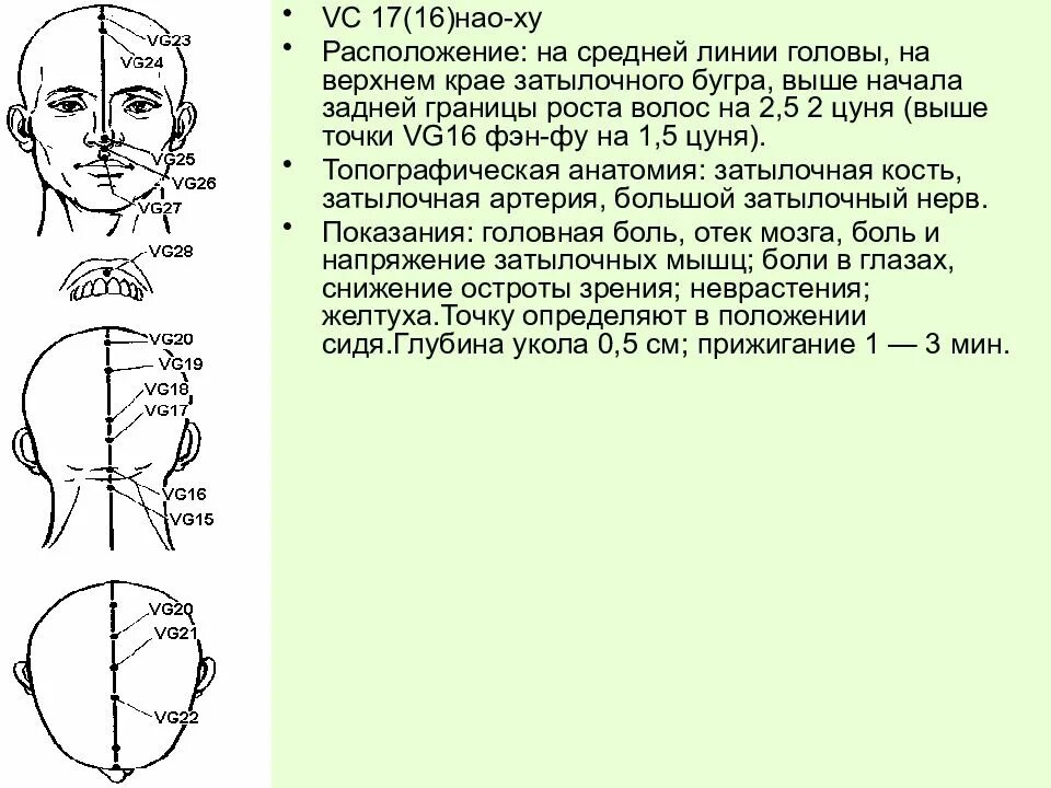 Заднесрединный Меридиан точка vg2. Точка vg20. Точки Меридиан на голове. Vg20 точка акупунктуры.