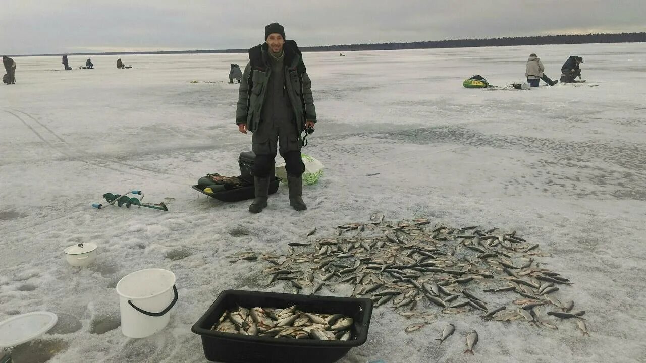 Рыбалка в ленинградской области на ладоге. Зимняя рыбалка на Ладожском озере. Кириково Ладожское озеро рыбалка. Рыбалка Ладога плотва. Зимняя рыбалка на Ладожском озере на окуня.