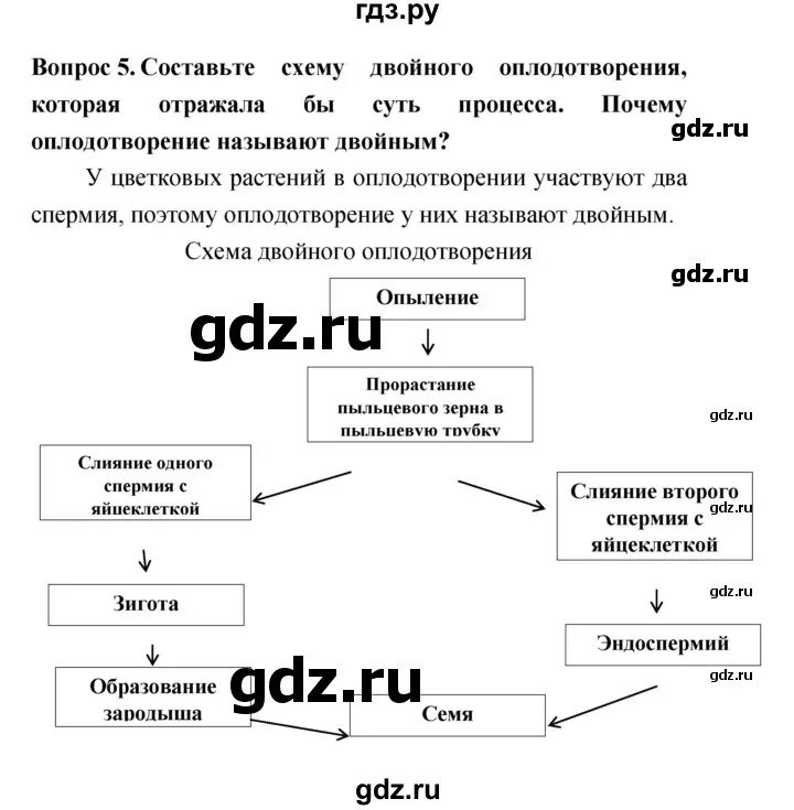 Биология 20 параграф 6 класс краткое содержание. Биология 6 класс параграф 20. Конспект по биологии 20 параграф. Биология 6 класс Сонина параграф20. Биология 6 класс параграф 20 вопросы.