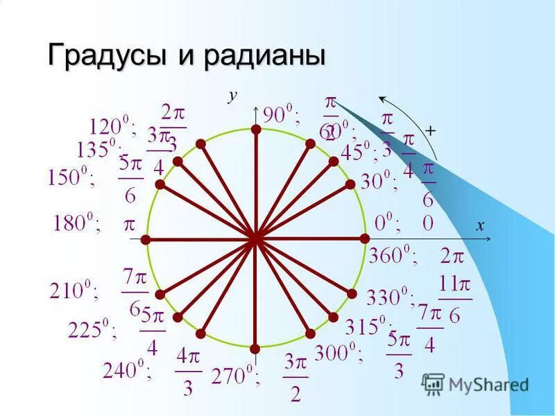 Окружность с градусами и радианами. Радианная мера угла синус косинус. Градусная и радианная мера угла. Радианы в градусы.