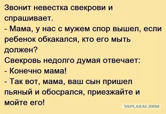 Сноха кто она. Мама если ребенок обосрался анекдот. Анекдоты про свекровь и невестку. Анекдот кто должен мыть ребенка мать. Анекдот про спор.