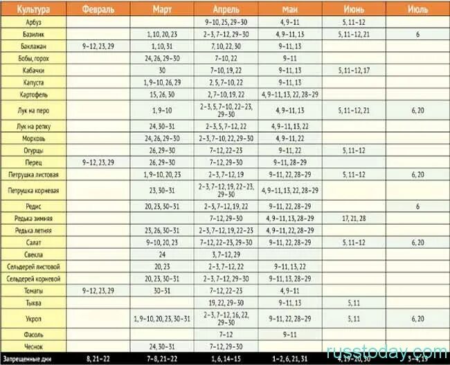 Можно ли сажать сегодня по лунному календарю. Календарь посадок. Календарь высадки рассады. Лунный посевной календарь. Календарь посева семян на рассаду.