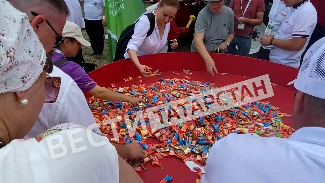 Выставка поле 2025. Всероссийский день поля 2025. всероссийский день поля 2025 казань. день поля в казани 2025. день поля казань.