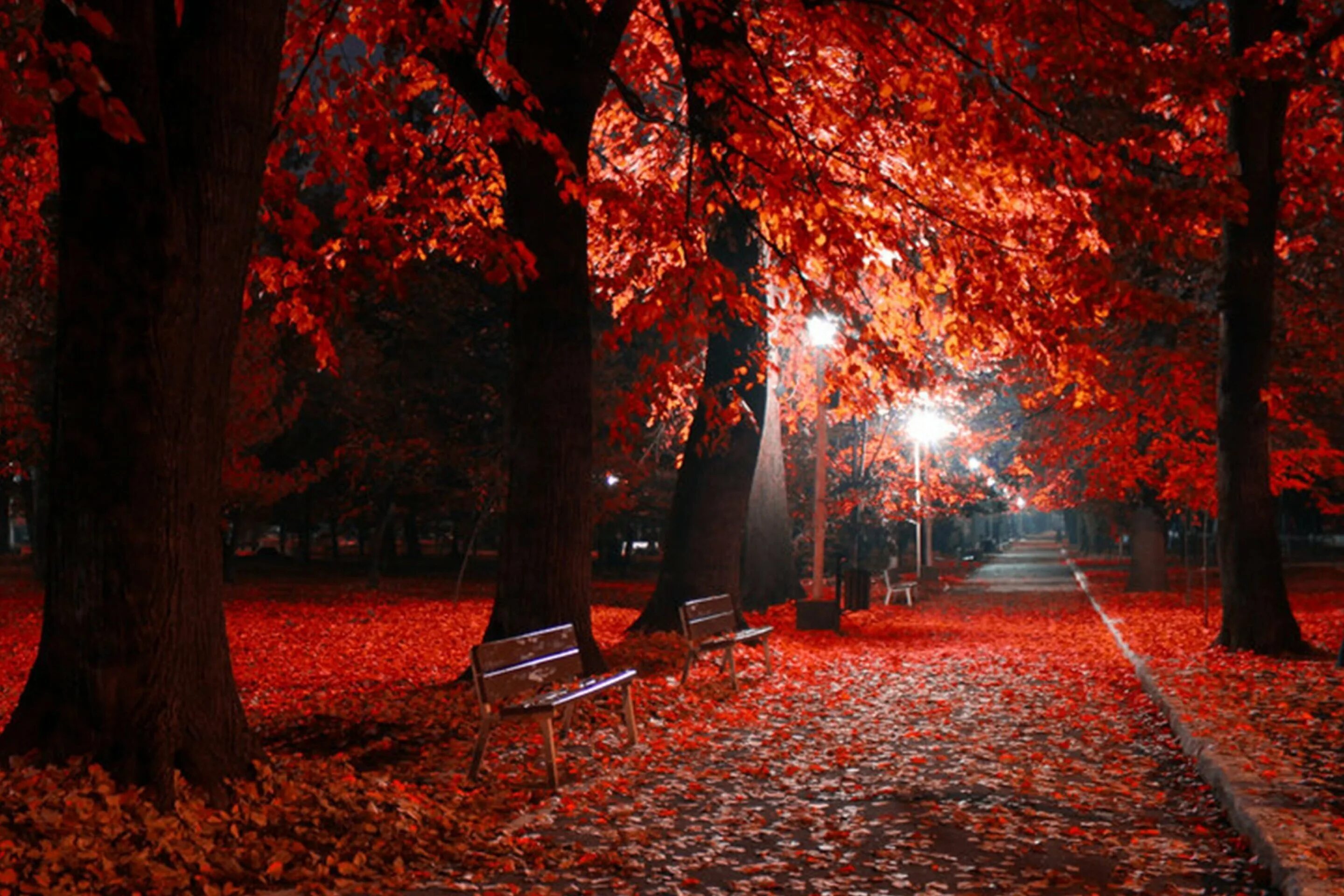 Осенний парк. Осенняя ночь. Обои осень. Романтичная осень.