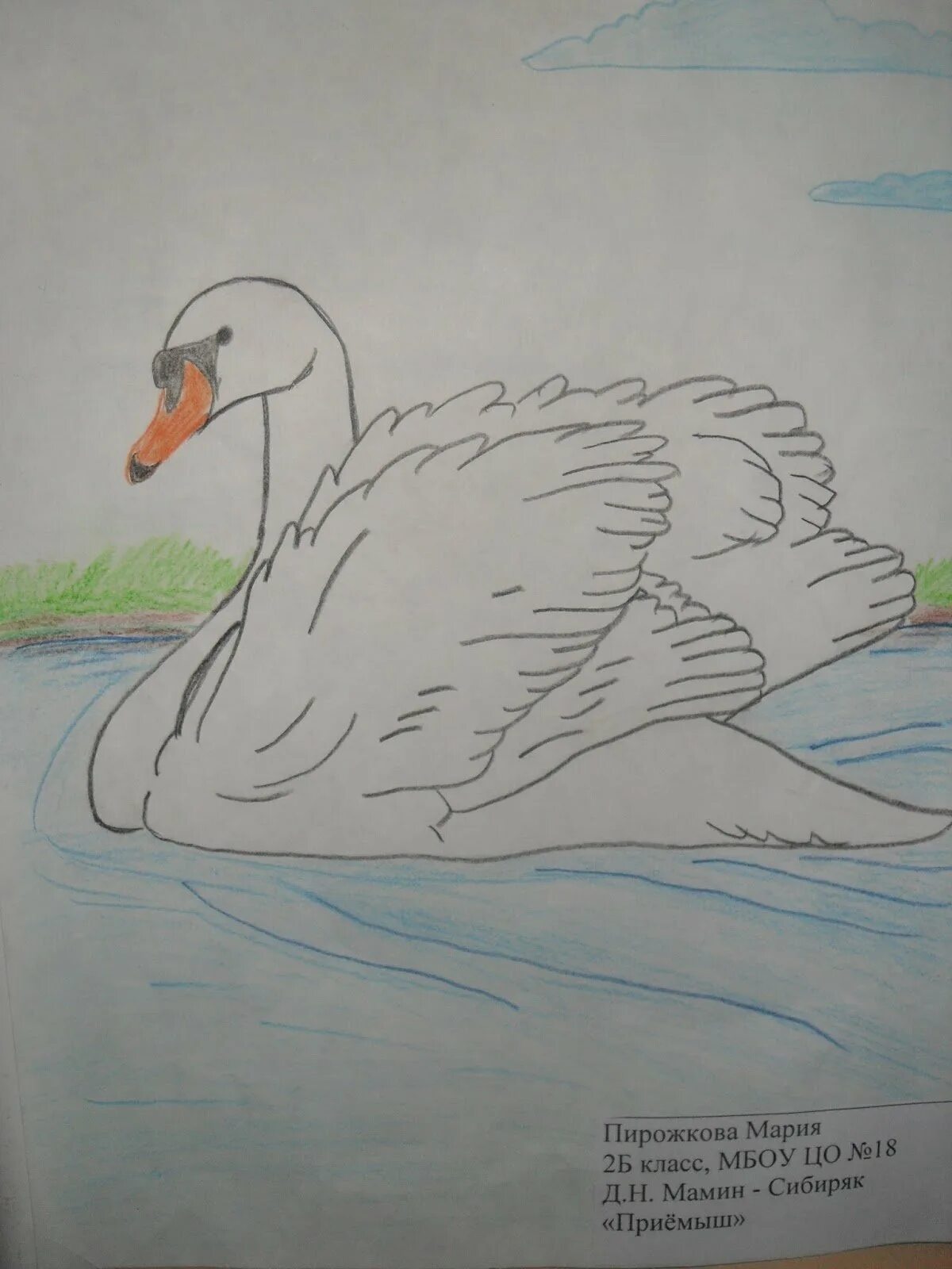 Мамин-сибиряк приёмыш лебедь. Нарисовать рисунок приемыш. Мамин-сибиряк приёмыш лебедь. Иллюстрация к рассказу приемыш мамин сибиряк. Приёмыш мамин сибиряк иллюстрации.