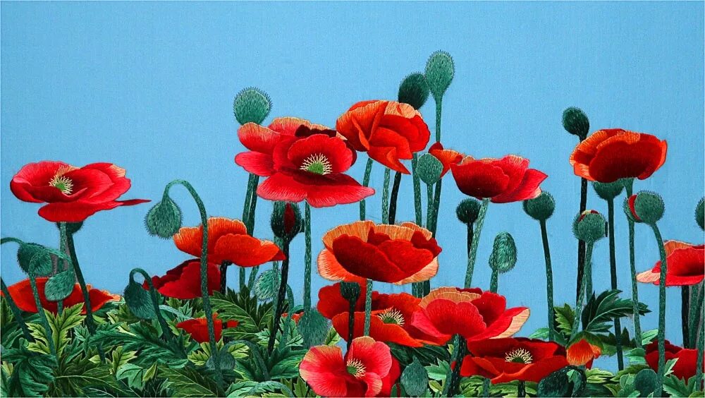 Мак однолетний. Картина маки. Маки в суми-э. Китайский мак. Мак в китае.