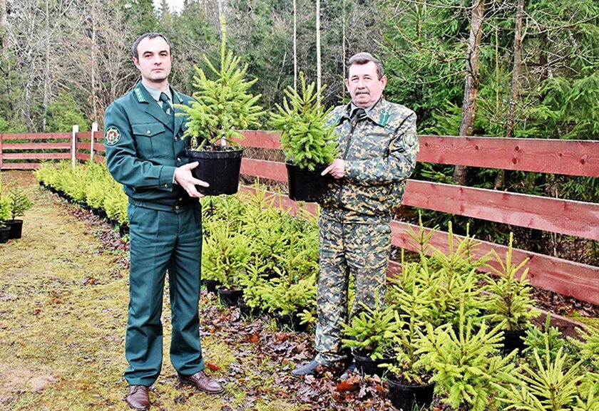 Лесная отрасль. Что такое лесосека и делянка. Лесное хозяйство в карелии. John deere dhsp 2054. Лесное хозяйство.