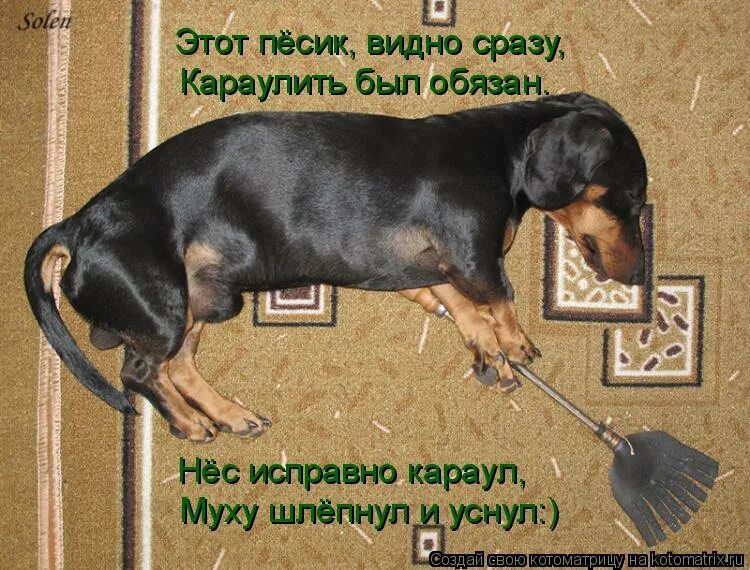 Бывший караулит. Караулить. караулить мем. бух упал. караулишь.