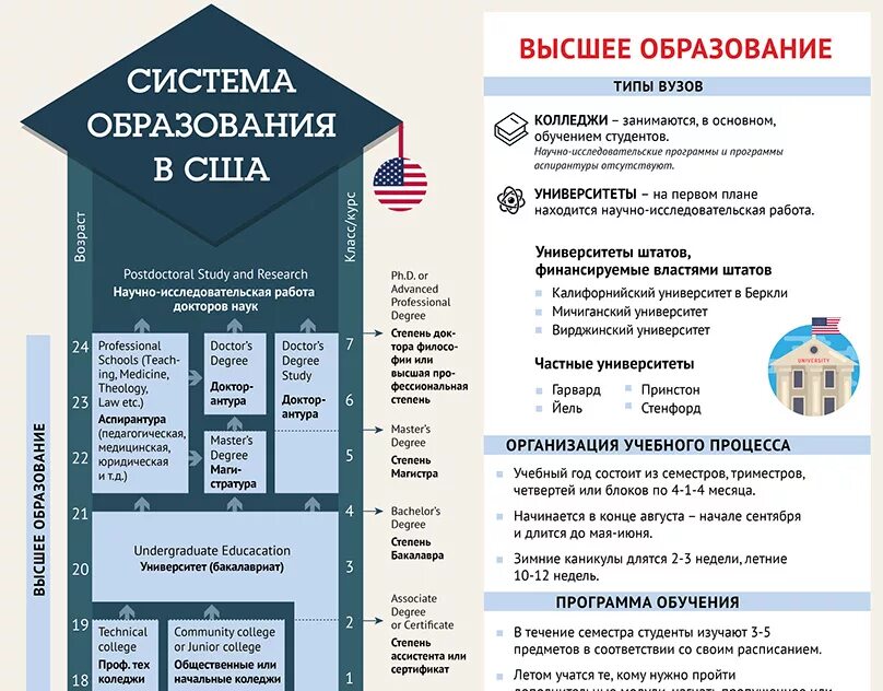 Система образования в Америке схема. Система образования в CIF. Структура высшего образования в США. Система dscituj образования в CIF.