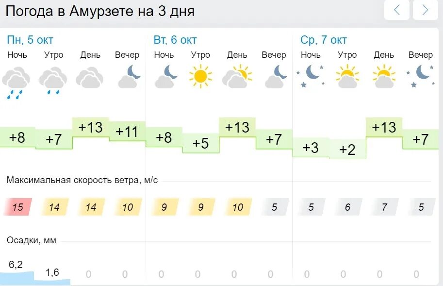 Гисметео муром на месяц. Гисметео Хабаровск. Погода на 10 дней. Погода на год. Погода на десять дней.