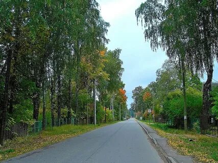 Погода в сиверской гатчинский