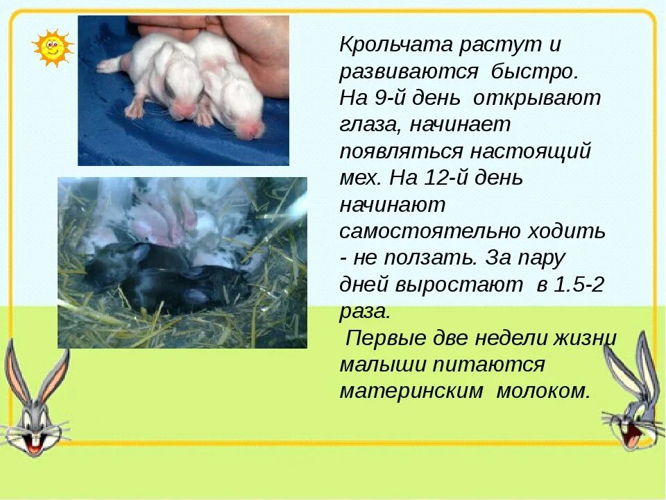 Растут и развиваются быстрее