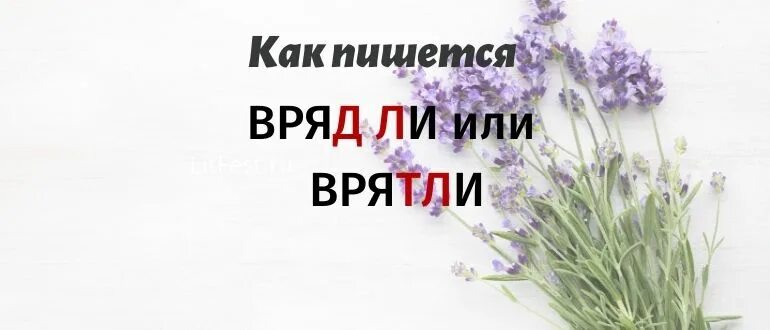 Вряд ли как пишется. Как правильно писать врядли. Как правильно пишется слово вряд ли. Как правильно писать вряд ли или врятли.