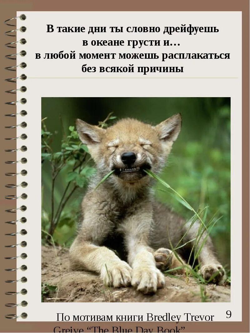 Спасение утопающих дело самих утопающих смысл. Спасение утопающих дело рук самих утопающих. спасение утопающих дело рук самих утопающих картинки. спасение утопающего дело рук самого утопающего смысл.
