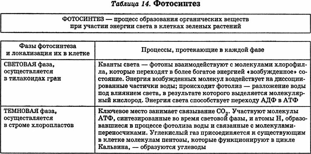 Световая и темновая таблица. Световая и темновая фаза фотосинтеза таблица 10 класс. Таблица фотосинтез световая и темновая фаза процессы. Темновая фаза фотосинтеза таблица. Фазы фотосинтеза световая и темновая таблица.