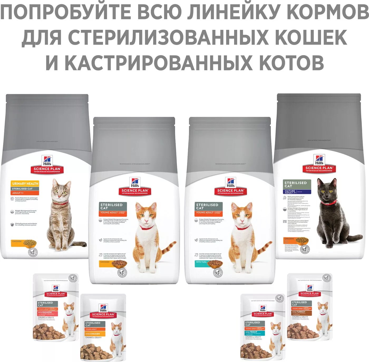 Сухой корм для кошек Science Plan. Линейка кормов Хиллс для кошек. Корм Hill's Science Plan сухой корм для молодых стерилизованных кошек. Сухой корм для стерилизованных кошек Хиллс производитель. Hills корм для кошек стерилизованных старше