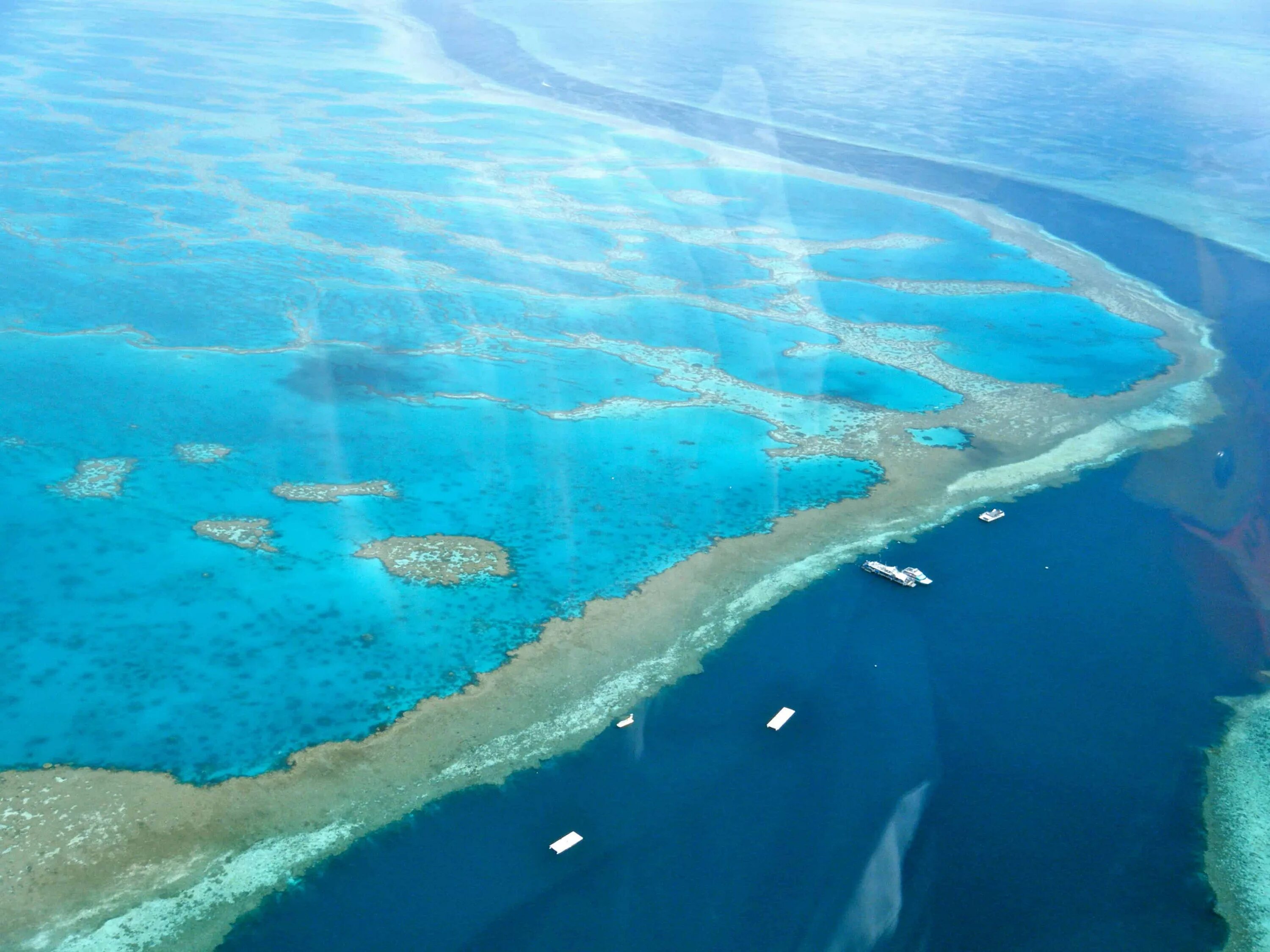 Острова большого рифа. Большой Барьерный риф коралловые острова. Коралловый остров леди Масгрэйв Австралия. Барьерный риф в Австралии. Большой коралловый риф в Австралии.