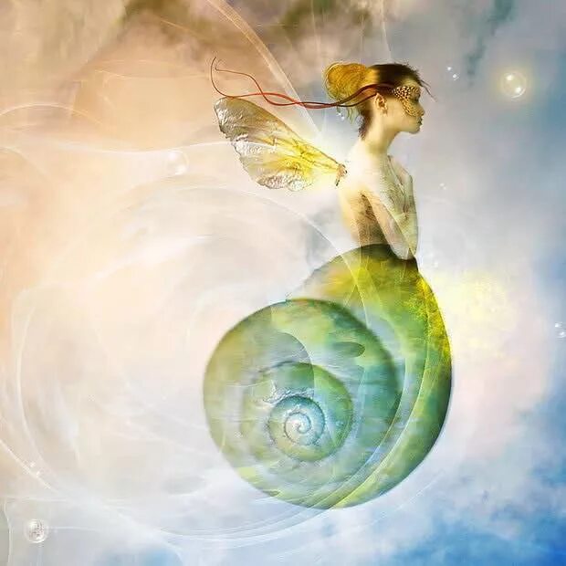 человек в костюме улитки.