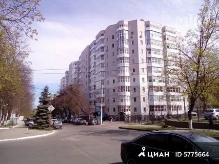 Челюскинцев курск
