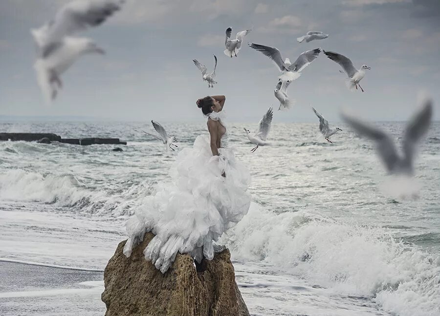 Огромного вдохновения. Море птицы девушка. Птица на ветру. Девушка море Чайки. Свободная птица.