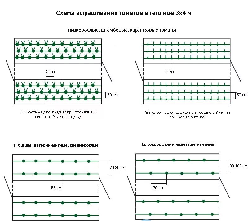 Сколько кустов помидор можно посадить. Схема посадки помидор в теплице 2м. Схема высадки томатов в теплице 3. Схема посадки помидор в теплице 3х4. Схема посадки помидор в теплице 6х4.