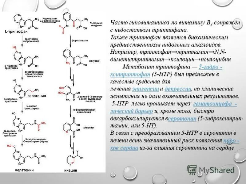 Глицин с триптофаном. Меланин функции гормона. Триптофан заряд. Триптофан роль в организме. Триптофан аминокислота.