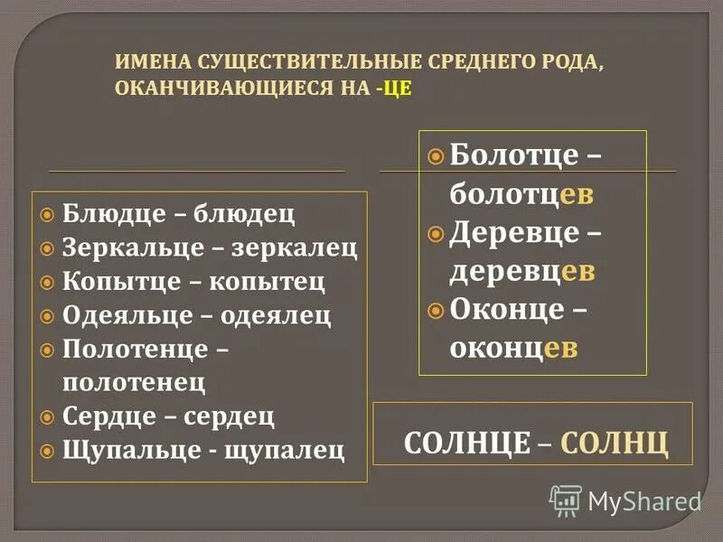Род и число существительных 3 класс. Род имен существительных. Зеркальце множественное число. Солнце какой род. Солнце может изменяться по числам.