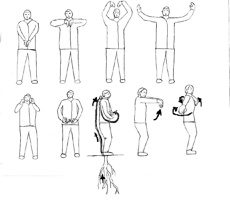 Практика цигун для начинающих женщин упражнения. Цигун для начинающих 8 упражнений. Дыхательная гимнастика цигун для начинающих 8 упражнений. Цигун Бодхидхармы 12 упражнений. Китайская гимнастика цигун для начинающих простых упражнений.