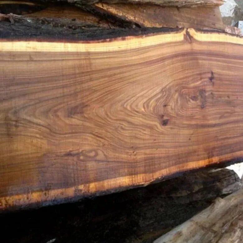 ясень дерево срез. древесина грецкого ореха срез. древесина орех срез. древесина. распил ореха.